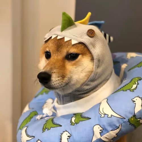 66553