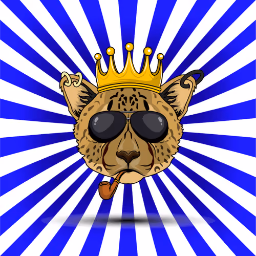 Avalancheetah #8