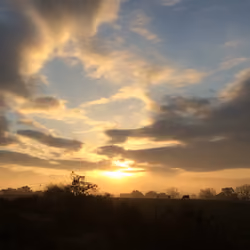 Cool Sunrise 3