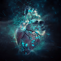 Immortal heart