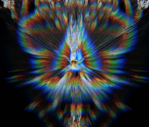 elenelli's Collection