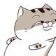 Ami the Fat cat