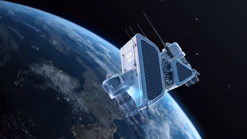 Avanaut Cruiser Collector #019