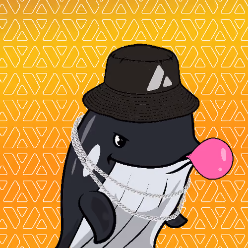 Node Whales #146