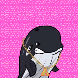 Node Whales #639