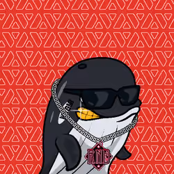 Node Whales #116