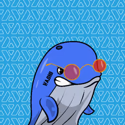 Node Whales #337