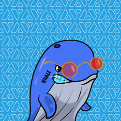 Node Whales #866