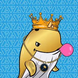 Node Whales #431