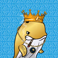 Node Whales #805
