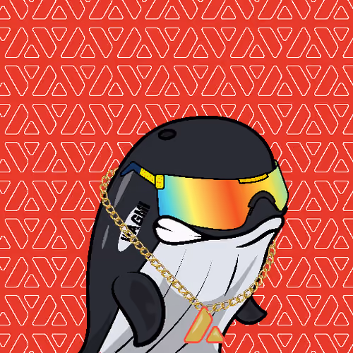 Node Whales #711