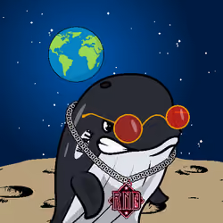 Node Whales #600