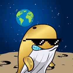 Node Whales #478