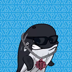 Node Whales #1147