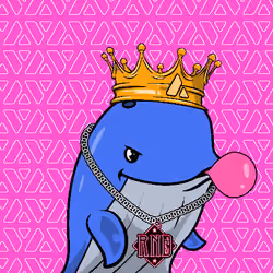 Node Whales #100