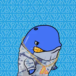 Node Whales #435