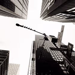 Look Up