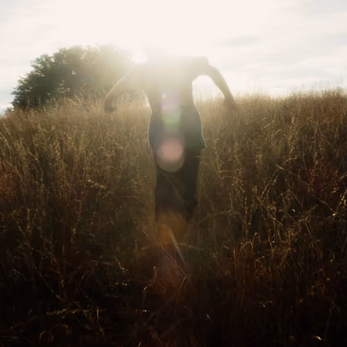 Snapshot #54