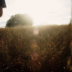 Snapshot #51