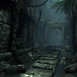 jungle