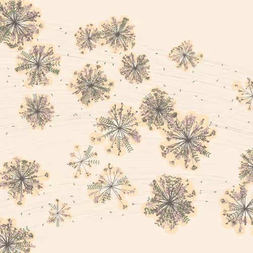 169