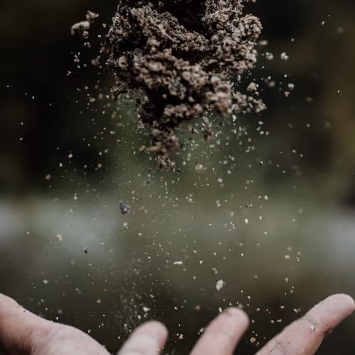 Oguz Sahans Collection