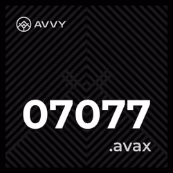 07077.avax