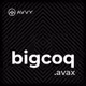bigcoq.avax