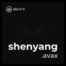 shenyang.avax