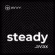 steady.avax