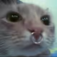 Dead Inside