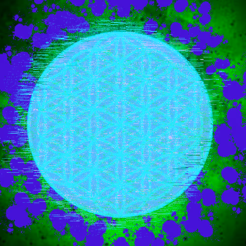 Item #281 Media