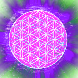 779