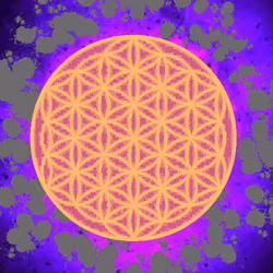 667