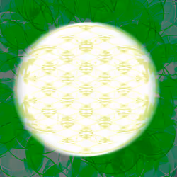 855