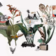 artwolf's Collection