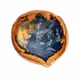 NutGeo V2