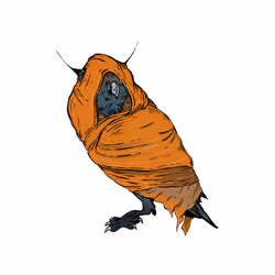 Owloper #464