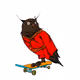 Owloper #1609