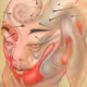 physiognomy