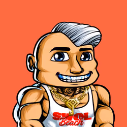 SWOL BEACH #367