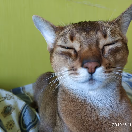 collection of drawings