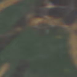TokenID 4369