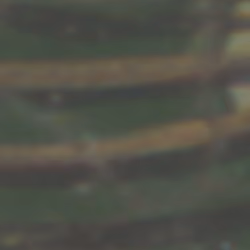 TokenID 4364