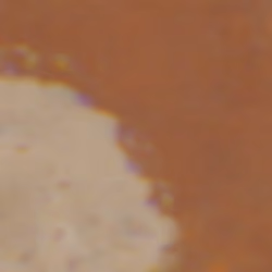 TokenID 2110