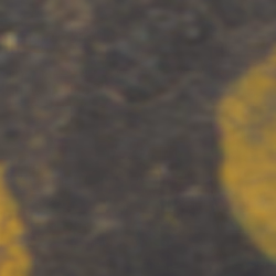 TokenID 753