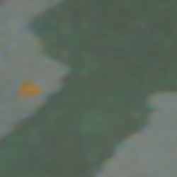 TokenID 1066