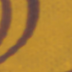 TokenID 2529