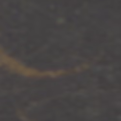 TokenID 1323