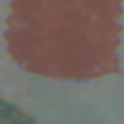 TokenID 1913